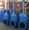 Anti - Corrosion Extend Stem Resilient Seated Gate Valve With Surface Box DN50